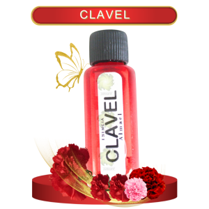 ESENCIA DE CLAVEL EN ZENSARA