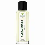 Esencia 7 Arcángeles | Zensara Metepec