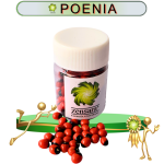 POENIA PARA ELEGGUA DE 125g EN ZENSARA