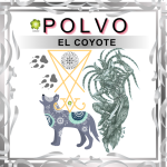 POLVO DE TRABAJO EL COYOTE EN ZENSARA