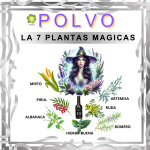POLVO DE TRABAJO LA 7 PLATAS MAGICAS EN ZENSARA