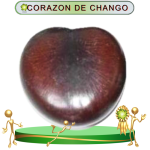 CORAZON DE CHANGO EN ZENSARA